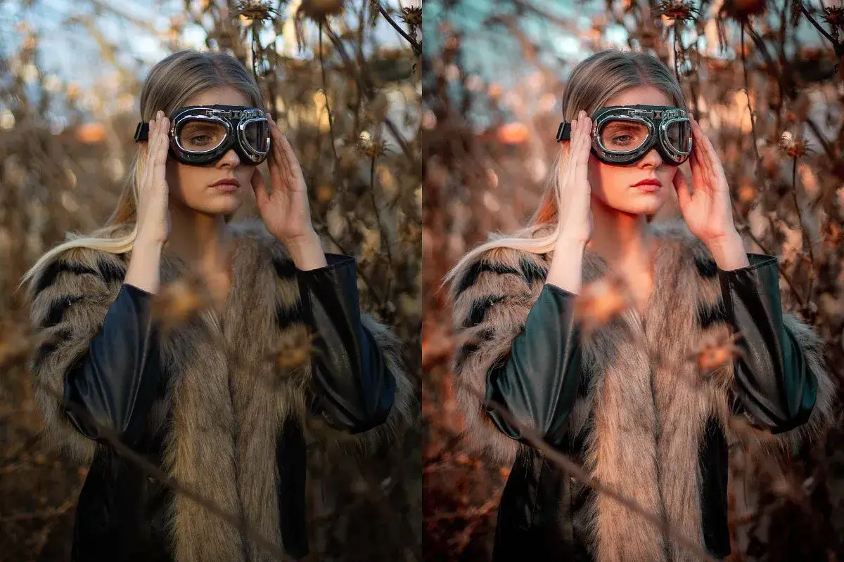 Lightroom Cool Presets