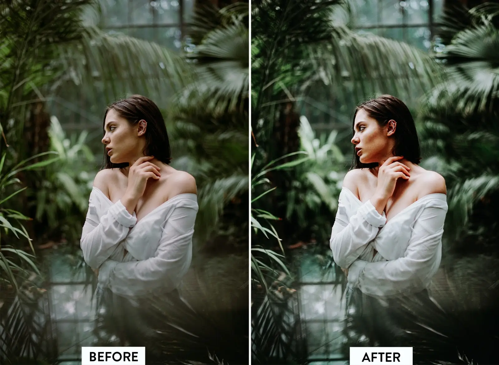 Lightroom Moody Presets